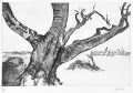 diacon-arbre-32cm-48cm